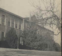 1953 Jacksboro School.jpg (2715849 bytes)