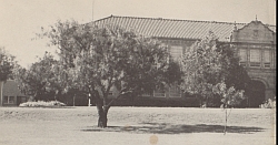 1962 Jacksboro School.jpg (1427371 bytes)