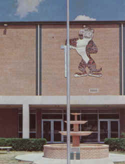 1972 Jasksboro School.jpg (1499280 bytes)
