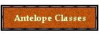 Antelope Classes
