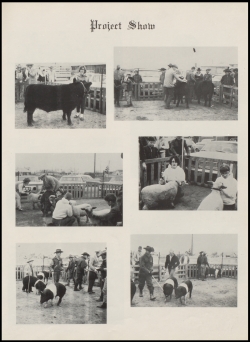 Perrin1954-0051.jpg (4751464 bytes)