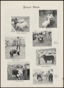 Perrin1954-0076.jpg (3587175 bytes)