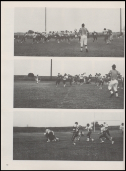 Perrin1954-0068.jpg (3384404 bytes)