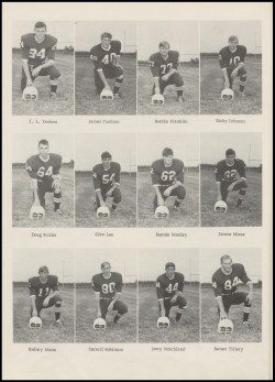 Perrin1954-0088.jpg (3593313 bytes)